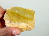 Penca al escabeche (tallo de la acelga)