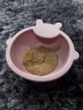 MPASI : Daging Wortel