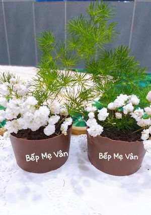 Hình của món Chậu cây từ sôcôla và bánh oreo.