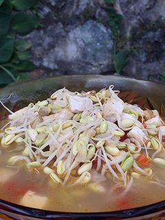 Foto resep Tumis taoge tahu
