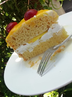 A picture of Tres Leches Cake.
