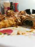 Canelones de verdura rikitos