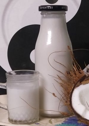 सात्विक नारळाचं दूध (Satvik Naralache Dudh Recipe In Marathi) रेसिपी चे मुख्य फोटो 