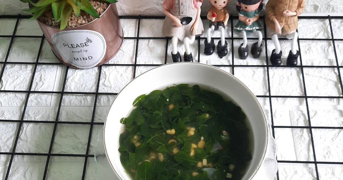 Resep Sayur Bening Daun Kelor Dan Jagung Manis Oleh Vida Tyas Cookpad