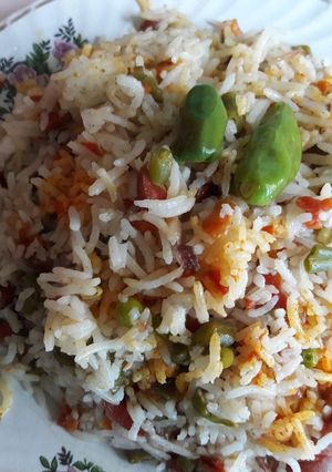 A picture of Veg Biryani.