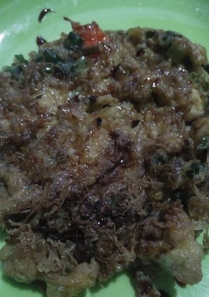 Foto resep Telur dadar daging