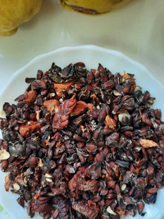 عکسی از دستور خشک کردن دانه ی میوه ی به