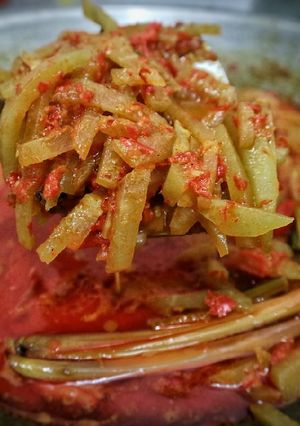 Foto resep Sambal Goreng Labu Siam ~ Nasi Liwet Solo (part 2)