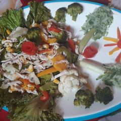 Healthy Chickveg Salad A picture of Healthy Chickveg Salad.