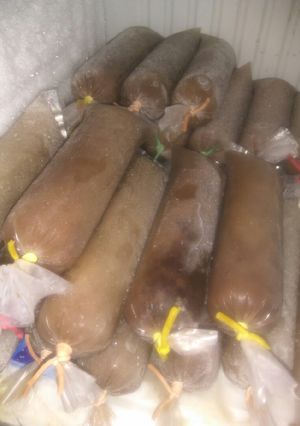 Foto resep Es Lilin Coklat Jelly Cocok Buat Jualan