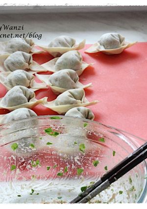 元寶餛飩圖解 的食譜成品照片