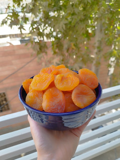عکسی از دستور قیسی