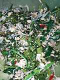 Urap bumbu cos