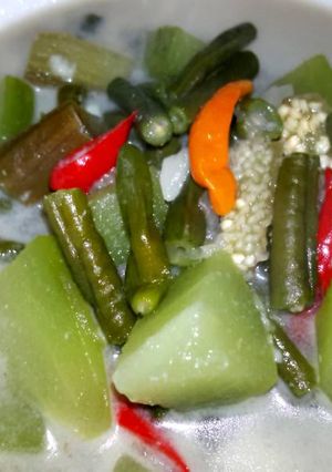 Foto resep Lodeh Cepat Masak 😄