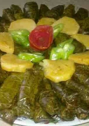 صورة لوصفة ورق العنب