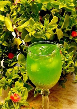 عکسی از دستور شربت ریحان و گل محمدی