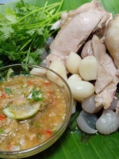 รูปของ ไก่นึ่งสมุนไพร