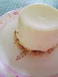 No-Bake Vanilla Yogurt Cheesecake