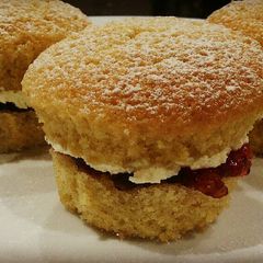 A picture of Mini Vicki Sponges.
