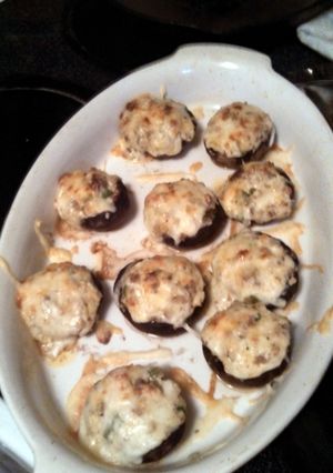 A picture of Stuffed Mushroom Lover.