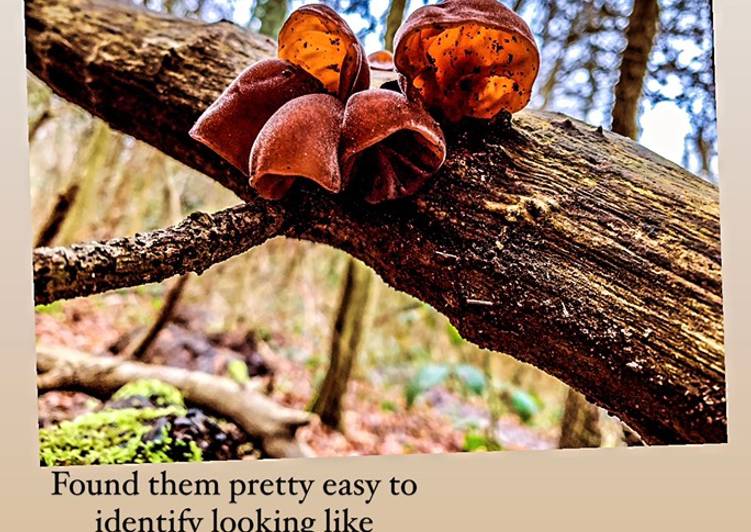 Auricularia Auricula Judae Two Ways Recipe By Ashley Shane Sutton Cookpad