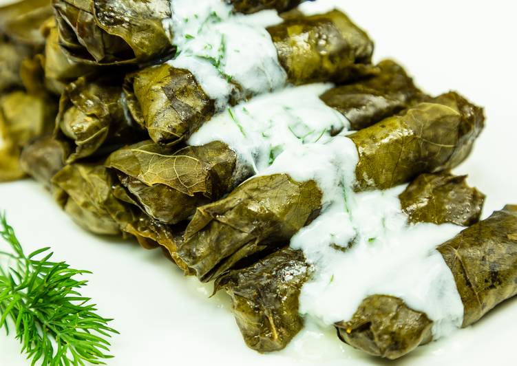 Simple Way to Make Super Quick Homemade Stuffed beef in grape leaves (Armenian Dolma Recipe)