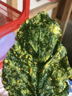 Foto resep Kripik bayam
