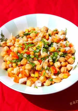 A picture of Chickpeas and White peas Sprouts Salad.