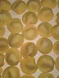 Cappelletti