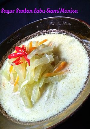 Foto resep Sayur Santan Labu Siam/Manisa