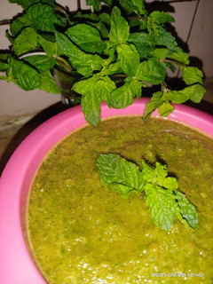 A picture of Mint sauce.