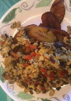 A picture of Scrambled Egg.