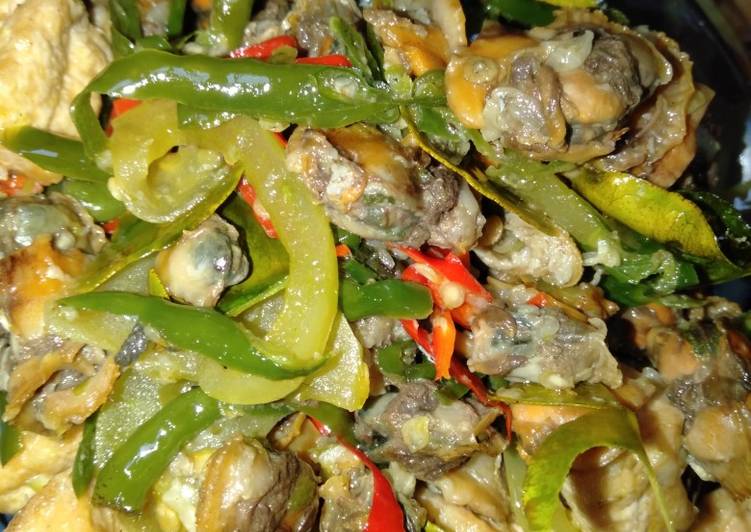 Kerang tahu si cabe ijo