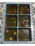 Rawon (Frozen)