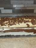 Chocolate Lasagna (Oreo Delight)