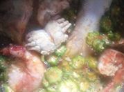 A picture of lobster soup