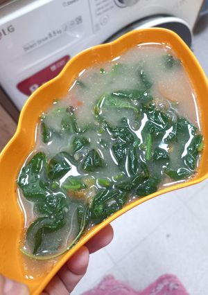 Foto resep Bobor Bayam (Ebi santan)