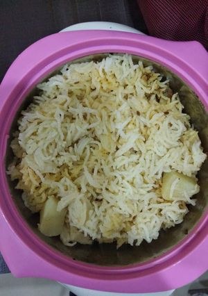 A picture of Rice biryani.