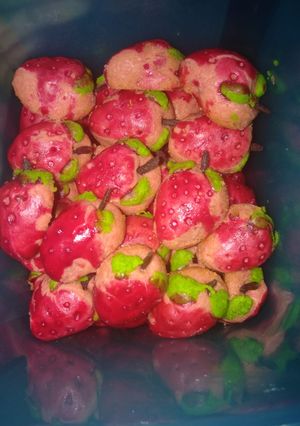 Foto resep Nastar lumer no butter