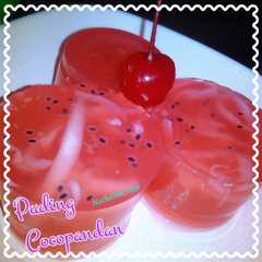 A picture of Puding cocopandan kelapa muda.