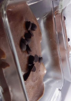Une photo de Mousse au chocolat noir