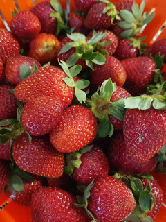 Φωτογραφία της συνταγής 🍓 Πανεύκολο σορμπέ φράουλα με μέλι! 🍓