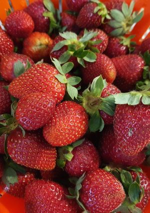 Φωτογραφία της συνταγής 🍓 Πανεύκολο σορμπέ φράουλα με μέλι! 🍓