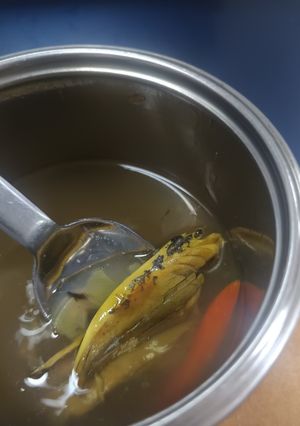 Foto resep Pindang kuah bening segar
