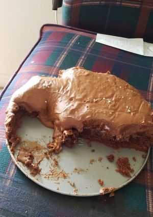 A picture of Missippi mud brownies.