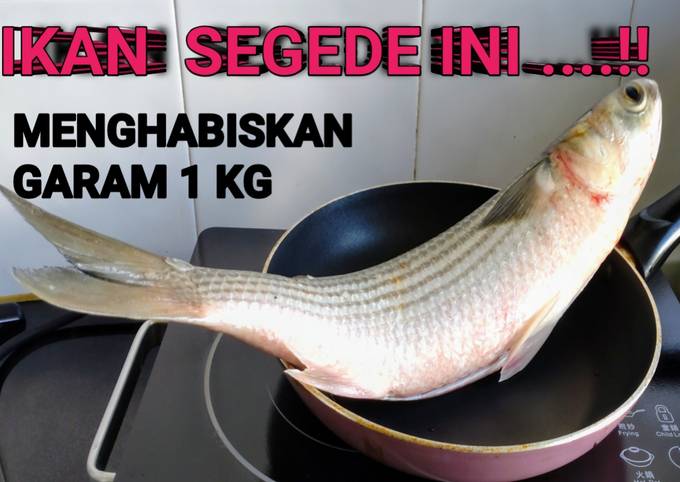 Recipe: Delicious Bakar ikan dengan garam kasar |salt baked fish