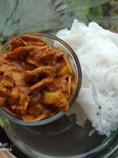A picture of Bamboo Shoot Curry.