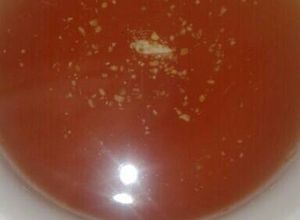 Una foto de Té para la gripe