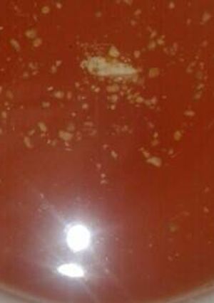 Una foto de Té para la gripe