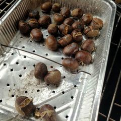 A picture of Roasted Chestnuts.